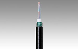  Single Mode Faser G.652B 